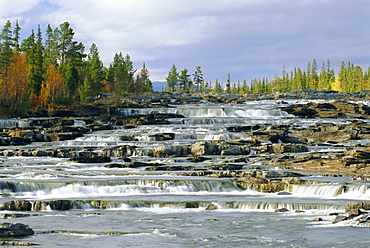 Trappstegforsarna Waterfalls, Fatmomakke region, Lappland, Sweden, Scandinavia, Europe