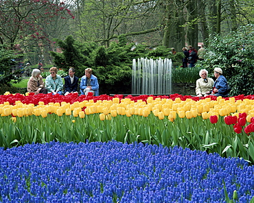 Tulips, Keukenhof, Holland, Europe