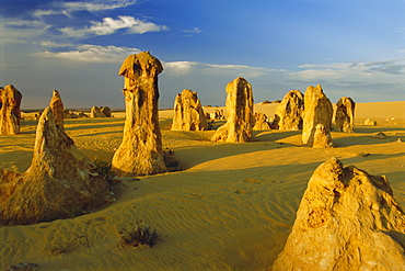 The Pinnacle Desert, Nambung National Park near Perth, Western Australia