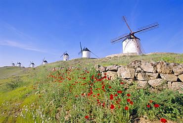 Windmills in Consuegra, Castilla La Mancha, Spain