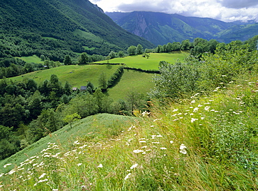 Valley of the River Berthe near Accous, Bearn, Pyrenees, Aquitaine, France, Europe