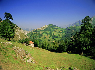 Sierra Dobros, Picos de Europa mountains, (Green Spain), Asturias, Spain