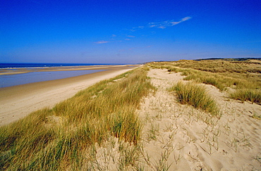 Dunes at Hardelot Plage, near Boulogne, Pas-de-Calais, France, Europe