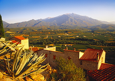 View of Mt Canigou From a Rustic Village, Pyrenees Orientales, Languedoc-Rousillon, France