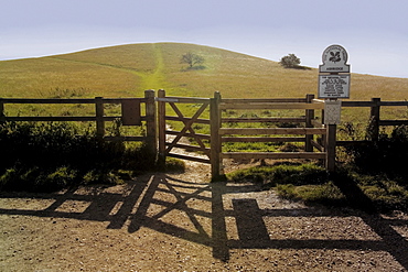 The Ridgeway Path, Pitstone Hill, Chilterns, Buckinghamshire, England, United Kingdom, Europe