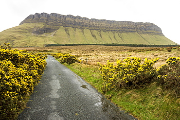 Benbulben, Dartry Mnts, County Sligo, Connacht, Republic of Ireland, Europe