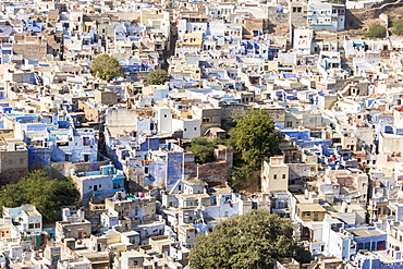 Jodhpur, Blue City (Navchokiya), Rajasthan, India, Asia