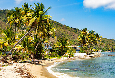 Patillas, south coast of Puerto Rico, Caribbean, Central America