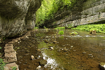 Stepping stones along River Wye in Chee Dale limestone gorge, Peak District National Park, Derbyshire, England, United Kingdom, Europe