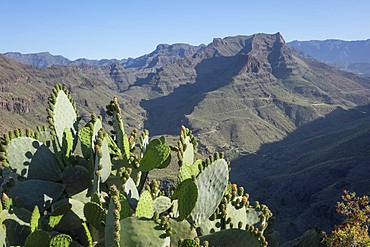 Mirador Degollada de las Yeguas, Fataga Valley, Gran Canaria, Canary Islands, Spain, Atlantic, Europe