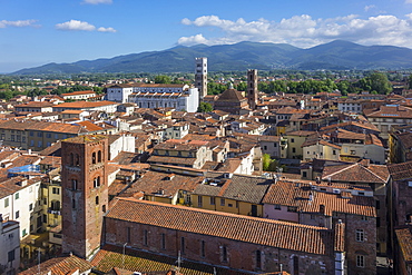 Aerial view of Lucca, Tuscany, Italy, Europe