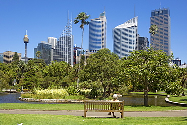 Skyline from Botanical Gardens, Sydney, New South Wales, Australia, Pacific