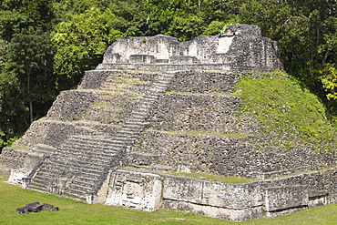 Plaza A Temple, Mayan ruins, Caracol, Belize, Central America