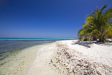 Laughing Bird Caye National Park, UNESCO World Heritage Site, Belize, Central America