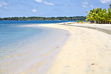 Boca Del Drago Beach, Colon Island (Isla Colon), Bocas del Toro Province, Panama, Central America