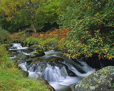 Barrow Beck and autumnal woodland near Ashness Bridge, Borrowdale, Lake District National Park, Cumbria, England, UK, Europe