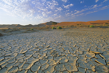 Sunbaked mud pan, cracked earth, near Sossuvelei, Namib Naukluft Park, Namibia, Africa