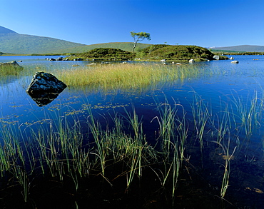 Lochain na H'Achlaise, Rannoch Moor, Western Highlands, Highland region, Scotland, United Kingdom, Europe