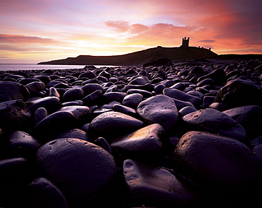 Dunstanburgh Castle at sunrise from Boulderfield at Embleton Bay, Northumberland (Northumbria), England, United Kingdom, Europe