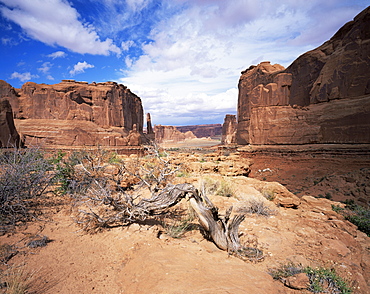 Park Avenue, Arches National Park, Moab, Utah, United States of America, North America