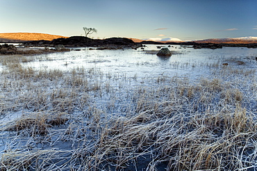 Winter view across frozen Lochain na h'Achlaise at dawn, first light catching distant mountains, foreground filled with frost-covered grass, Rannoch Moor, near Fort William, Highland, Scotland, United Kingdom, Europe