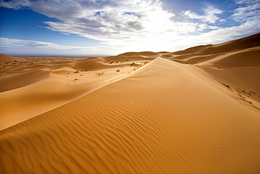 Rolling orange sand dunes and sand ripples in the Erg Chebbi sand sea near Merzouga, Morocco, North Africa, Africa