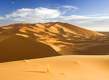 Rolling orange sand dunes and sand ripples in the Erg Chebbi sand sea near Merzouga, Morocco, North Africa, Africa