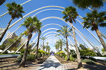 L'Umbracle (landscaped walk) at the City of Arts and Sciences (Ciudad de las Artes y las Ciencias), Valencia, Spain, Europe