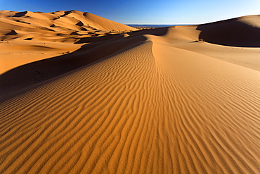 Orange sand dunes and sand ripples, Erg Chebbi sand sea, Sahara Desert near Merzouga, Morocco, North Africa, Africa