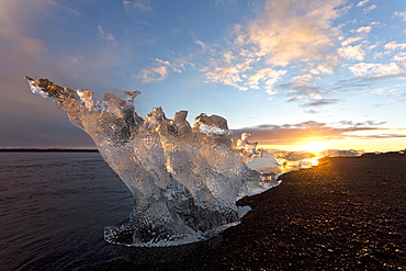 Icebergs at sunset on Jokulsa Beach, on the edge of the Vatnajokull National Park, South Iceland, Iceland, Polar Regions