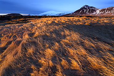 Grassy landscape and snow-covered mountains bathed in winter light in the hamlet of Budir in Stadarsveit on the Snaefellsnes Peninsula, Iceland, Polar Regions