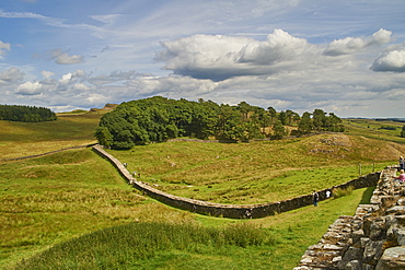 A section of Hadrian's Wall at Housesteads Fort, Bardon Mill, UNESCO World Heritage Site, Northumberland, England, United Kingdom, Europe