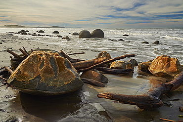 Moeraki Boulders, a group of very large spherical boulders on Koekohe Beach near Moeraki on the coast of Otago, South Island, New Zealand, Pacific