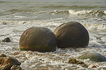 Moeraki Boulders, a group of very large spherical boulders on Koekohe Beach near Moeraki on the coast of Otago, South Island, New Zealand, Pacific