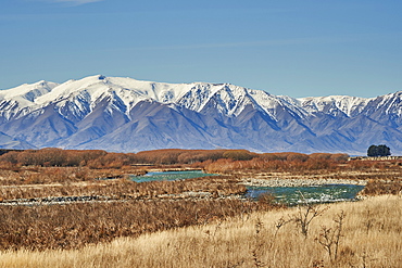 View to Southern Alps over a mountain stream near Twizel, Central Otago, South Island, New Zealand, Pacific