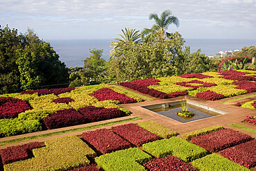 Formal garden at Botanical Gardens in Funchal, Madeira, Portugal, Atlantic, Europe