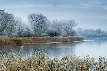 A scenic view shows frosty conditions at Cotswold Water Park, Gloucestershire, England, United Kingdom, Europe