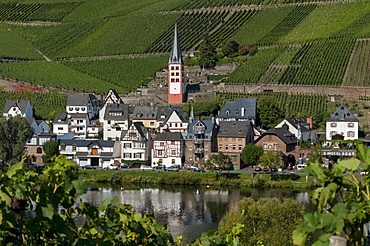 Zell church on River Mosel, Zell, Rhineland-Palatinate, Germany, Europe