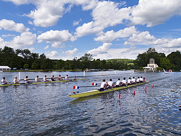 Henley Regatta, Henley-on-Thames, Oxfordshire, England, United Kingdom, Europe