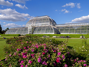 Palm House in Kew Gardens in summer, Royal Botanic Gardens, UNESCO World Heritage Site, Kew, Greater London, England, United Kingdom, Europe 