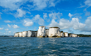 Pinnacles, Studland, Dorset, England, United Kingdom, Europe