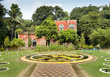 Aquatic plants section, Botanical Gardens, Kolkata, West Bengal, India, Asia