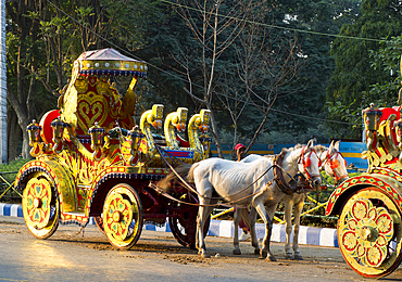 Horse drawn carriages and Maidan, Kolkata, West Bengal, India, Asia