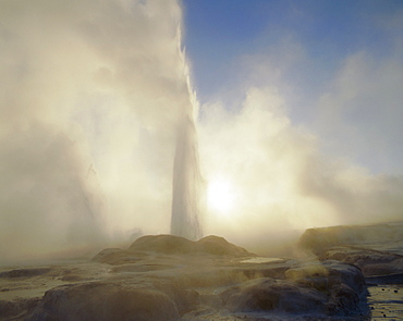 Geyser in the thermal area at Rotorua, South Auckland, North Island, New Zealand