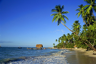 Pigeon Point, Tobago, West Indies, Caribbean, Central America