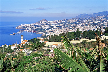 View over Funchal, Madeira, Portuga, Atlantic, Europe