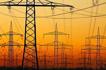 Pylons and power lines in morning light, Germany, Europe