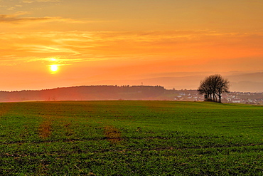 Sunset and field, Rhineland-Palatinate (Rheinland-Pfalz), Germany, Europe