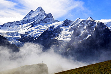 Schreckhorn, Grindelwald, Bernese Oberland, Canton of Bern, Switzerland, Europe