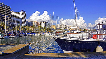 Marina of Palma de Mallorca, Majorca, Balearic Islands, Spain, Mediterranean, Europe